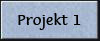 Projekt 01
